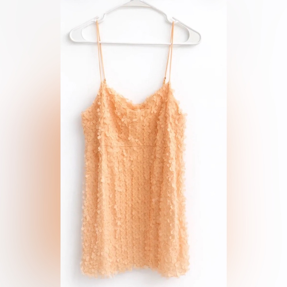 Anthropologie Blush Floral Embellished Dress